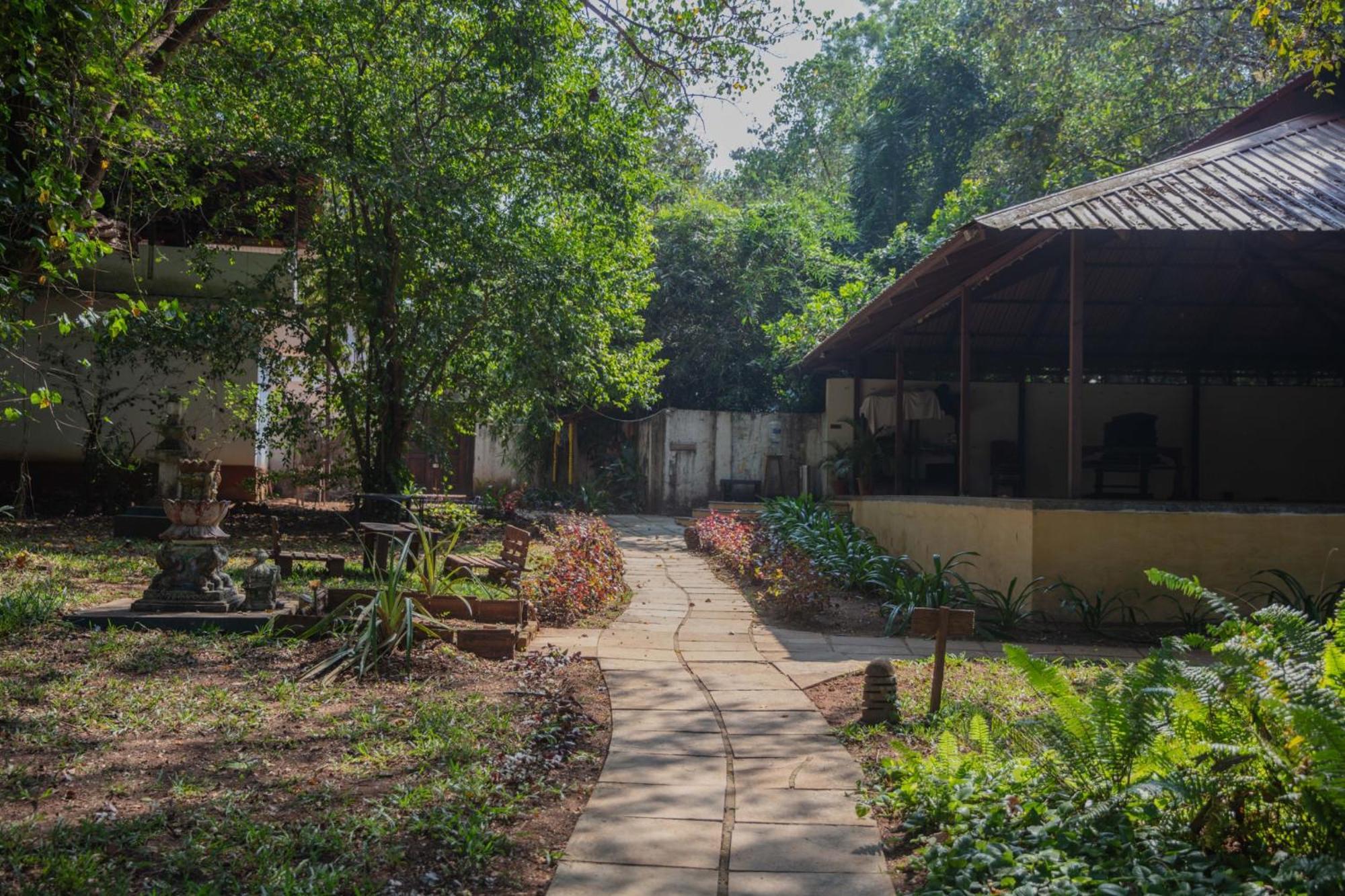 Satori Wellness Cottages I Yoga, Sauna, Ice Bath, Holistic Therapies & More Mandrem Buitenkant foto