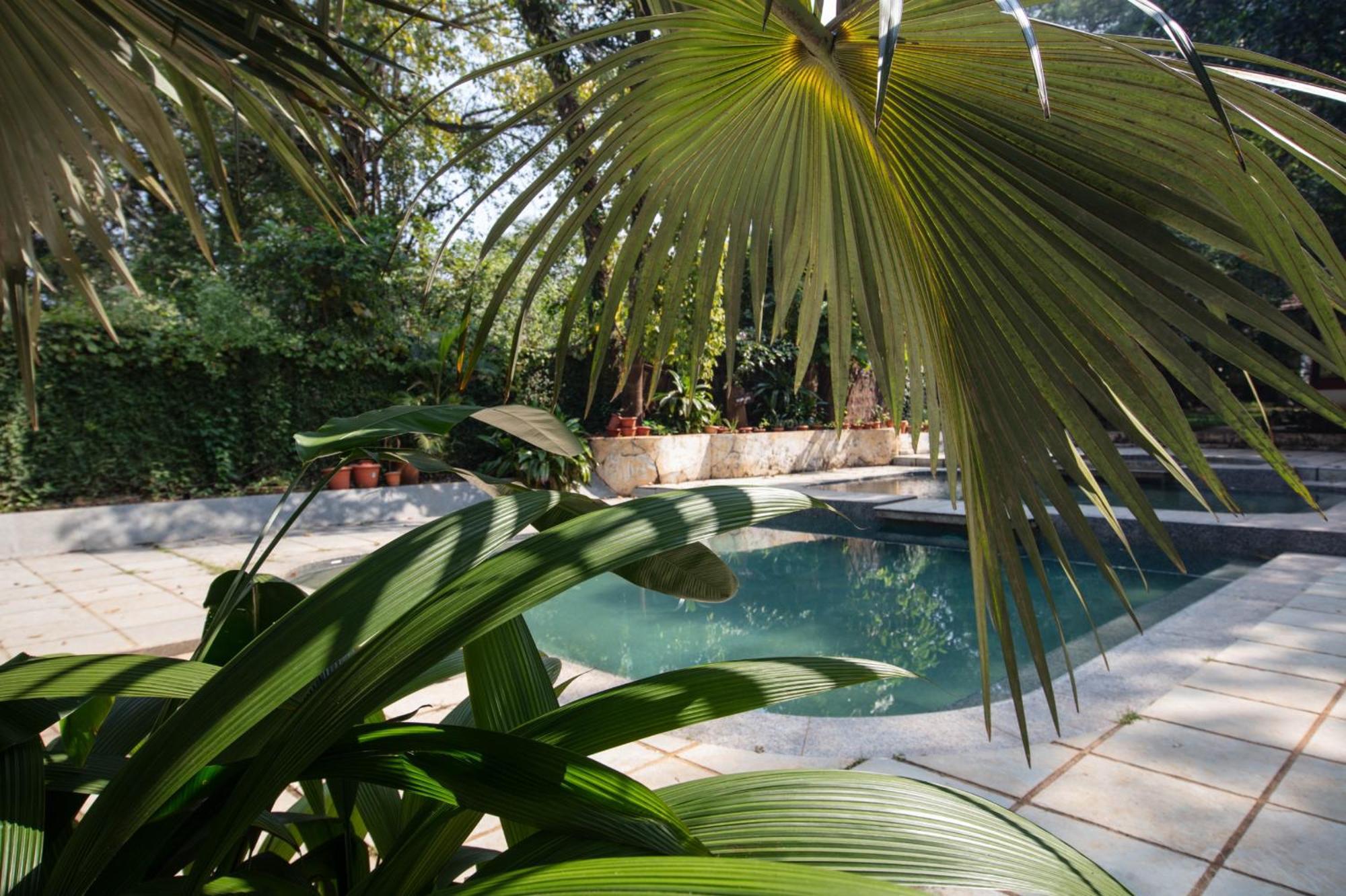 Satori Wellness Cottages I Yoga, Sauna, Ice Bath, Holistic Therapies & More Mandrem Buitenkant foto