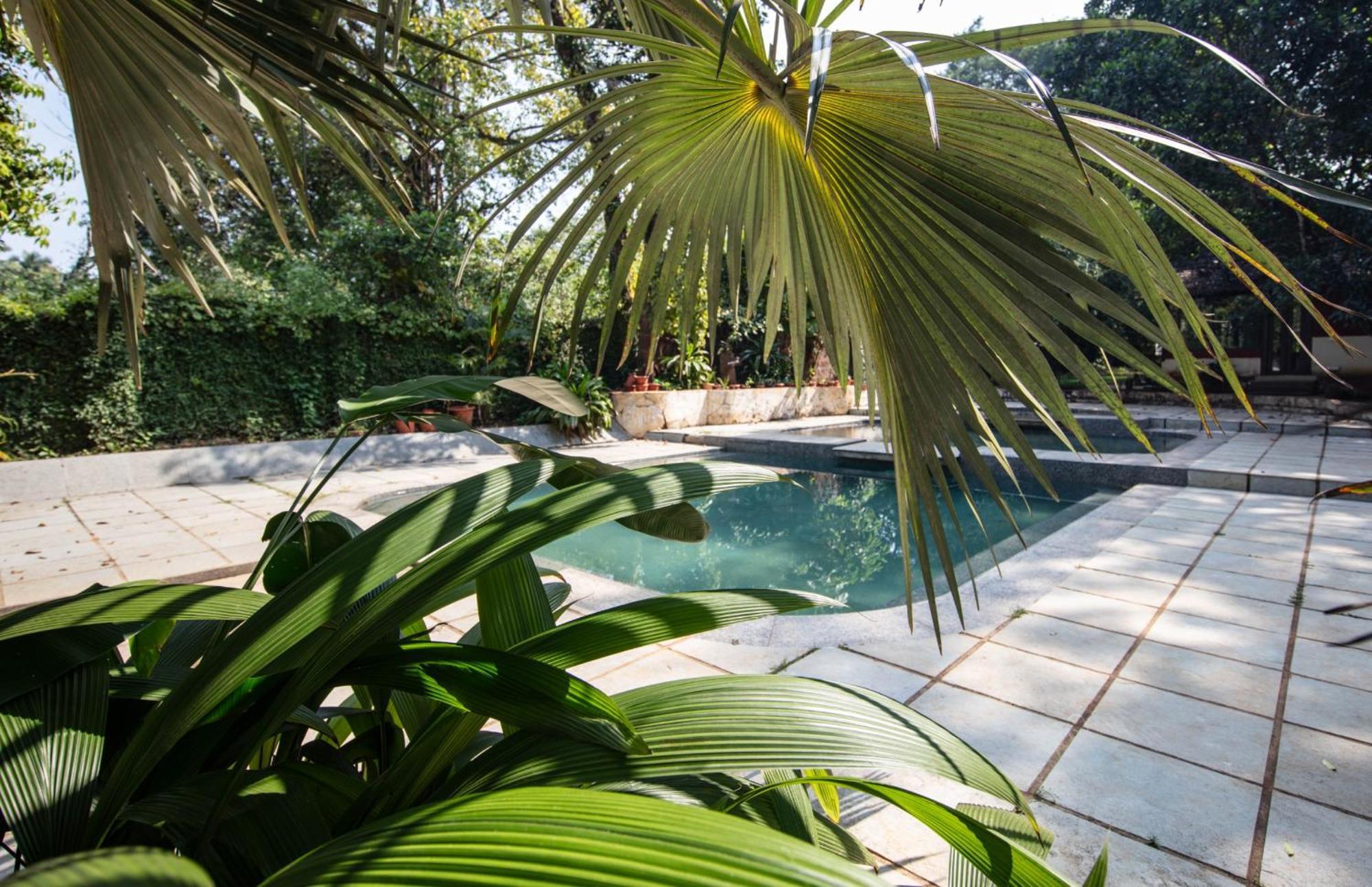 Satori Wellness Cottages I Yoga, Sauna, Ice Bath, Holistic Therapies & More Mandrem Buitenkant foto